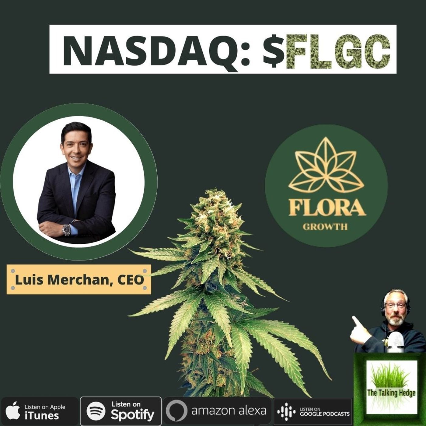 Mergers & Acquisitions with Flora Growth's CEO Luis Merchan (NASDAQ: FLGC)