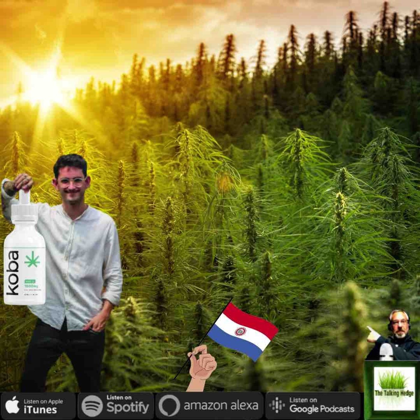 Paraguay Hemp & Latin America's CBD Market