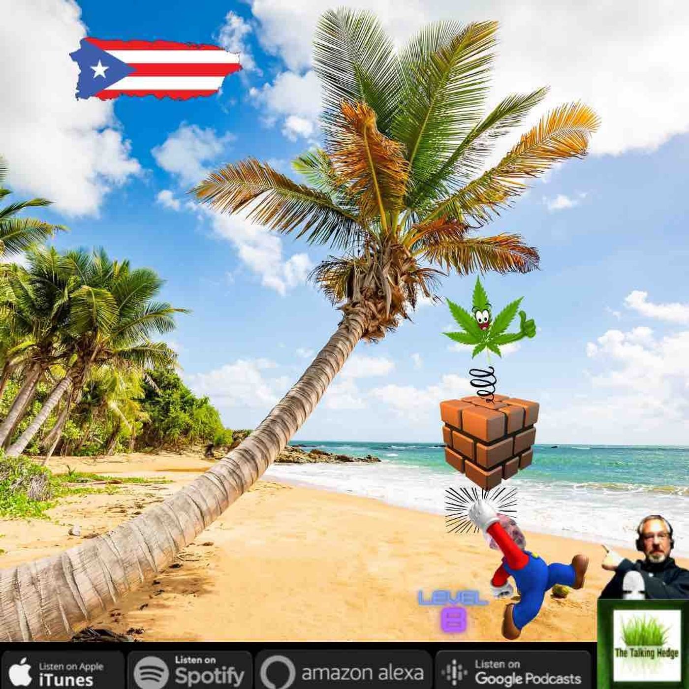 How to Start a Cannabis Businesses: Island of Opportunities in Puerto Rico