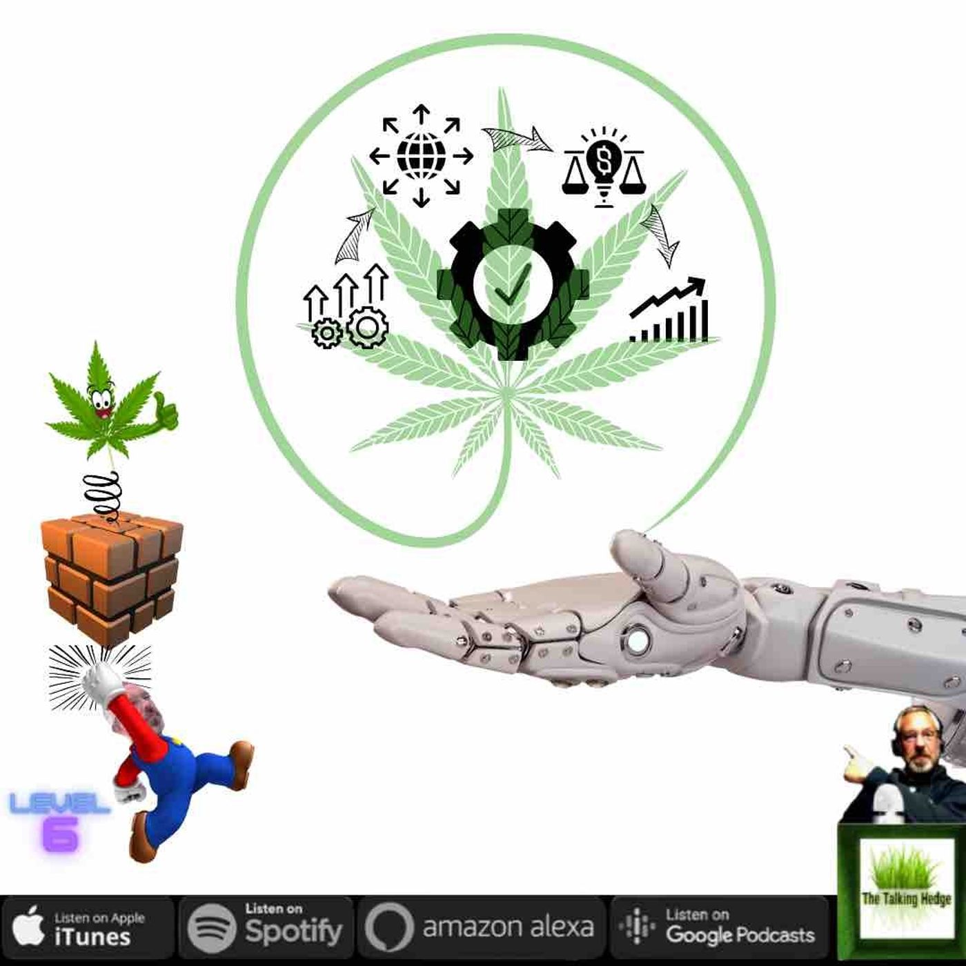 How to Start a Cannabis Business: Scale, Expand & Automate