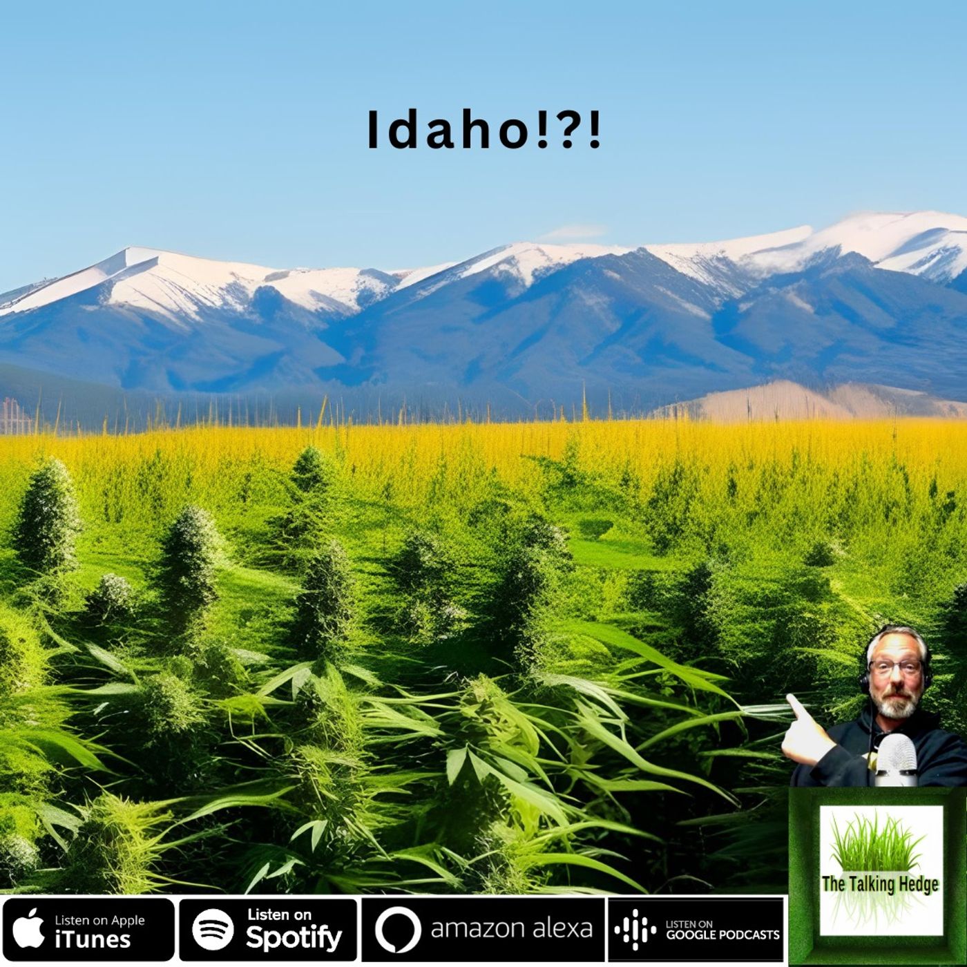 From Prohibition to Progress: Lawmaker's Push for Cannabis in Idaho