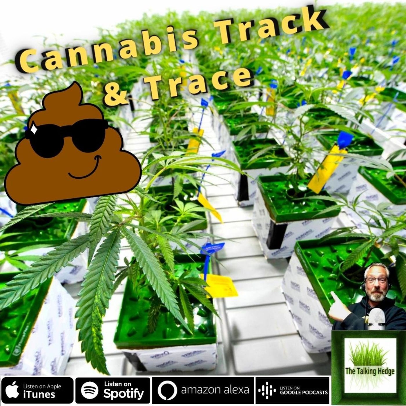 Cannabis Track & Tracing in Washington State Breaks Again