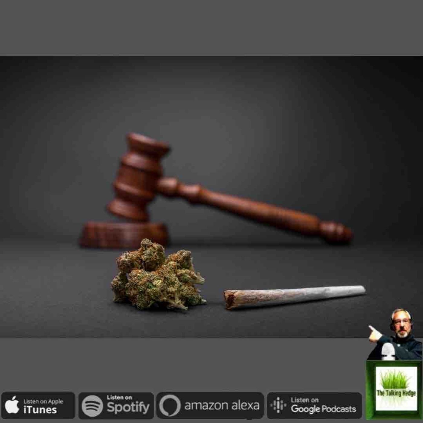 Cannabis Law Interview~ Section 453 & 280E
