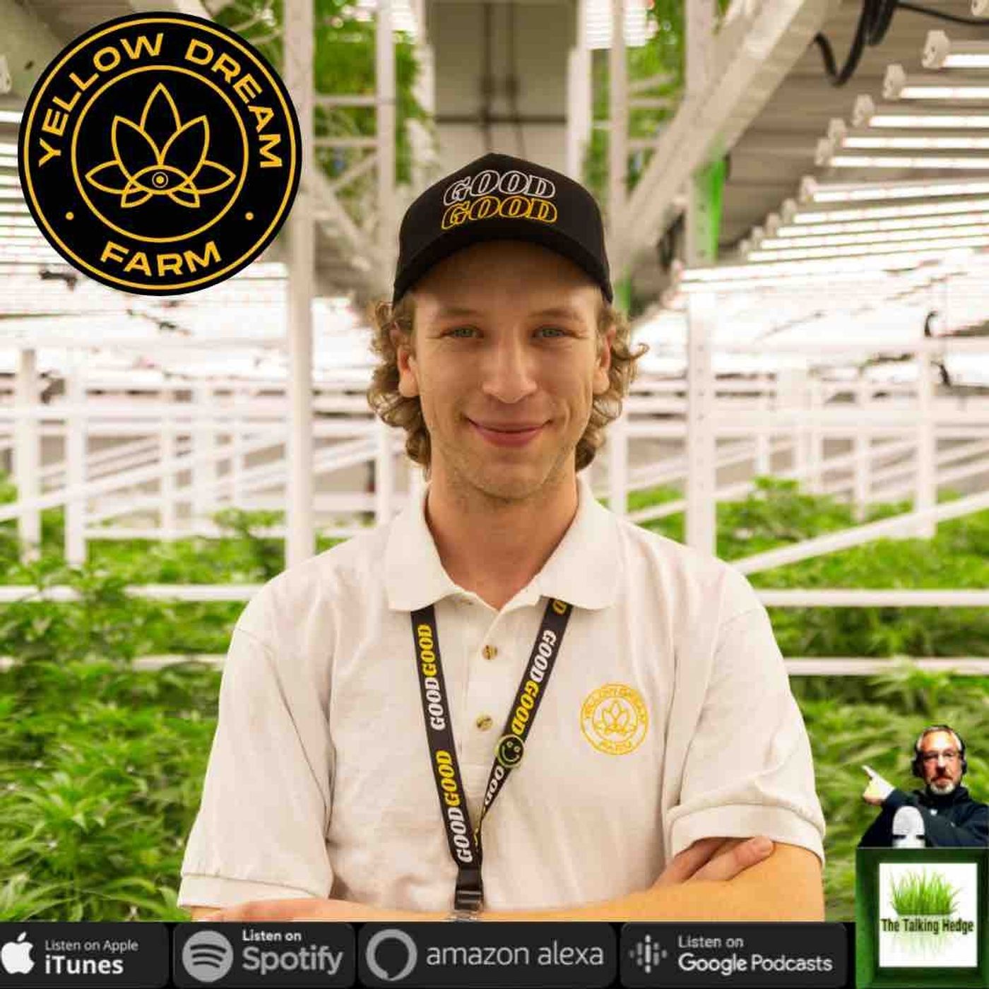 Vertical Cannabis Farming
