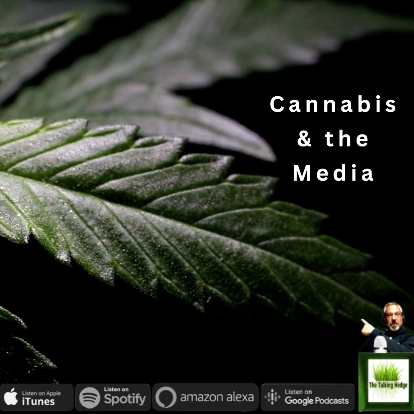 Cannabis and the Media