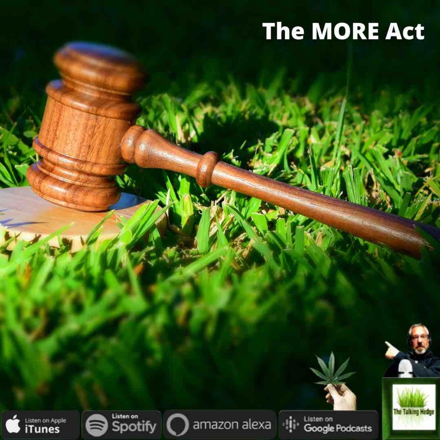 The US House Passed the MORE Act!!!