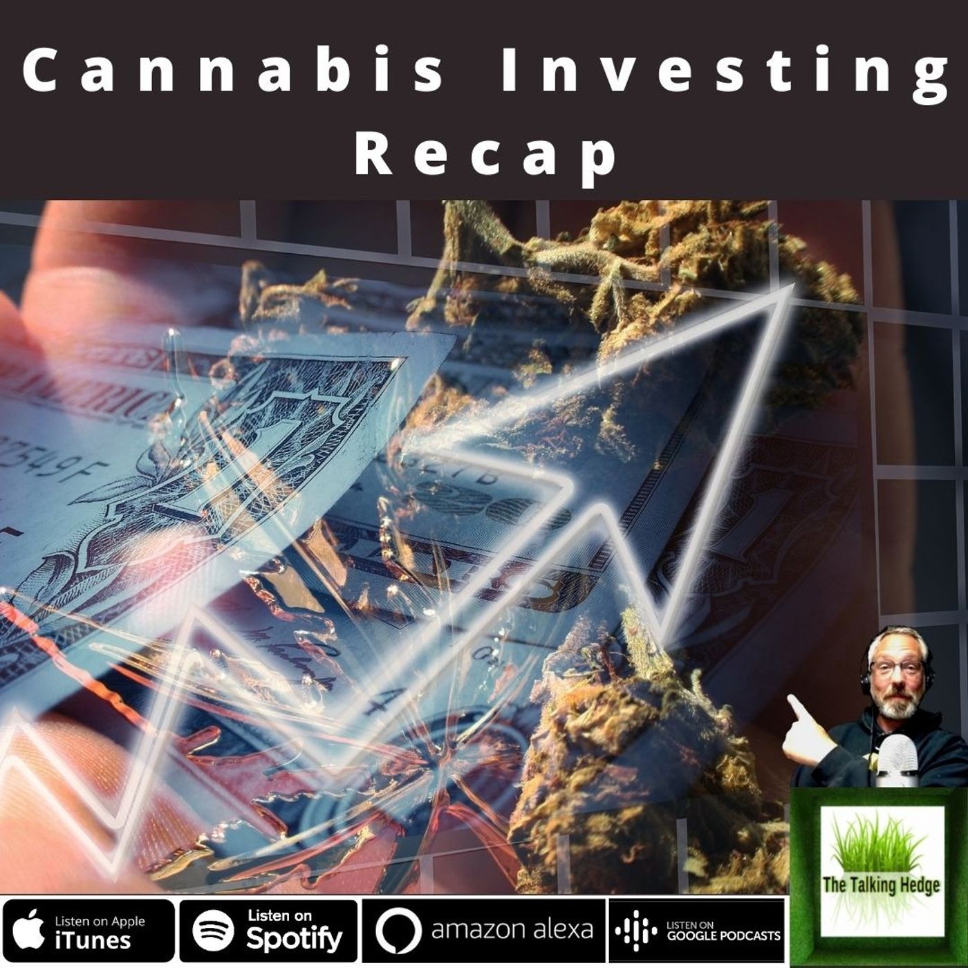 Cannabis Finance & Investment Update