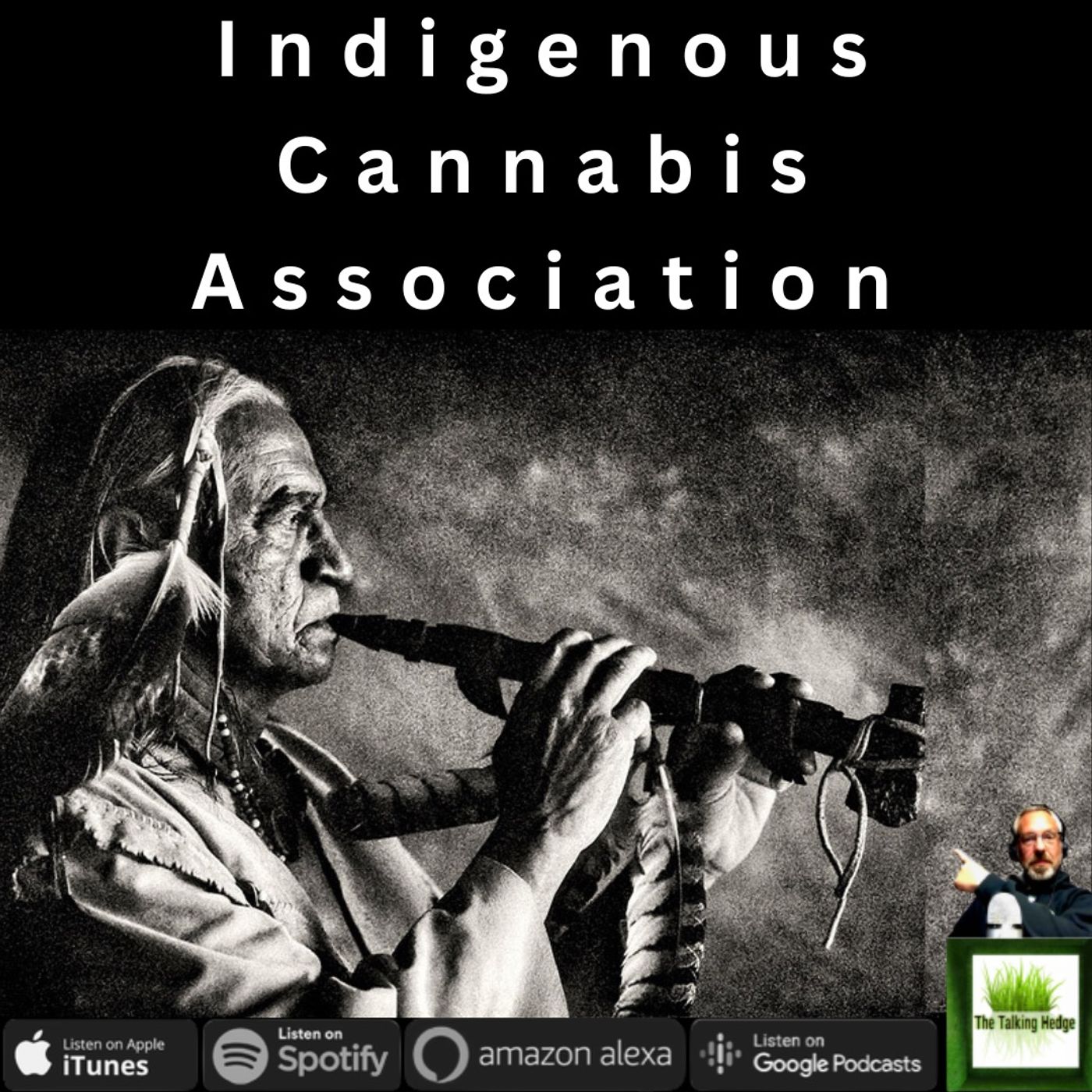Weed Talk News