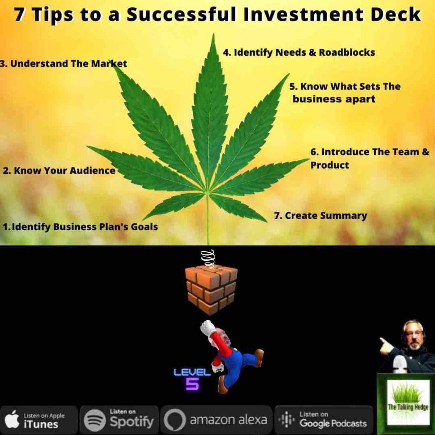 How to Start a Cannabis Business: Investment Pitch Decks