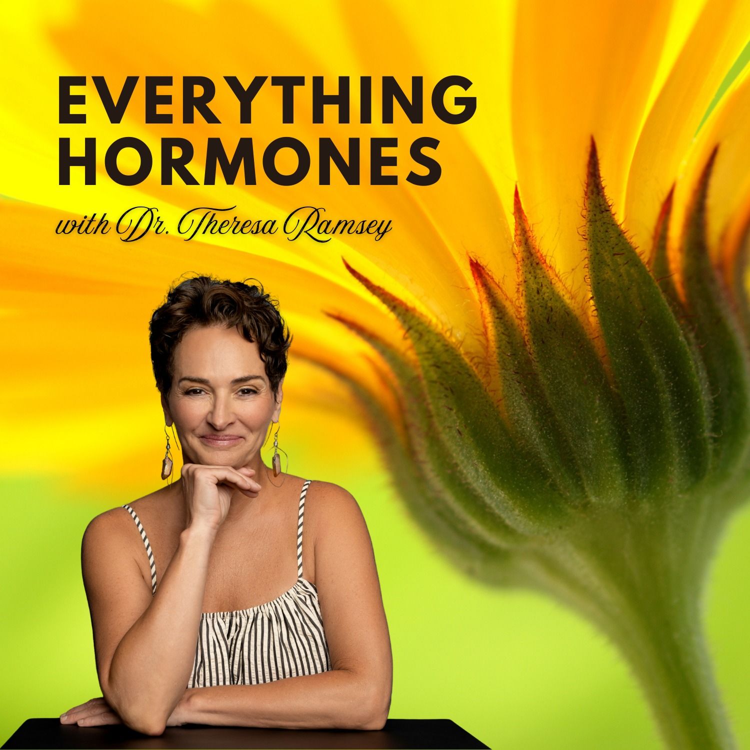 Everything Hormones cover art