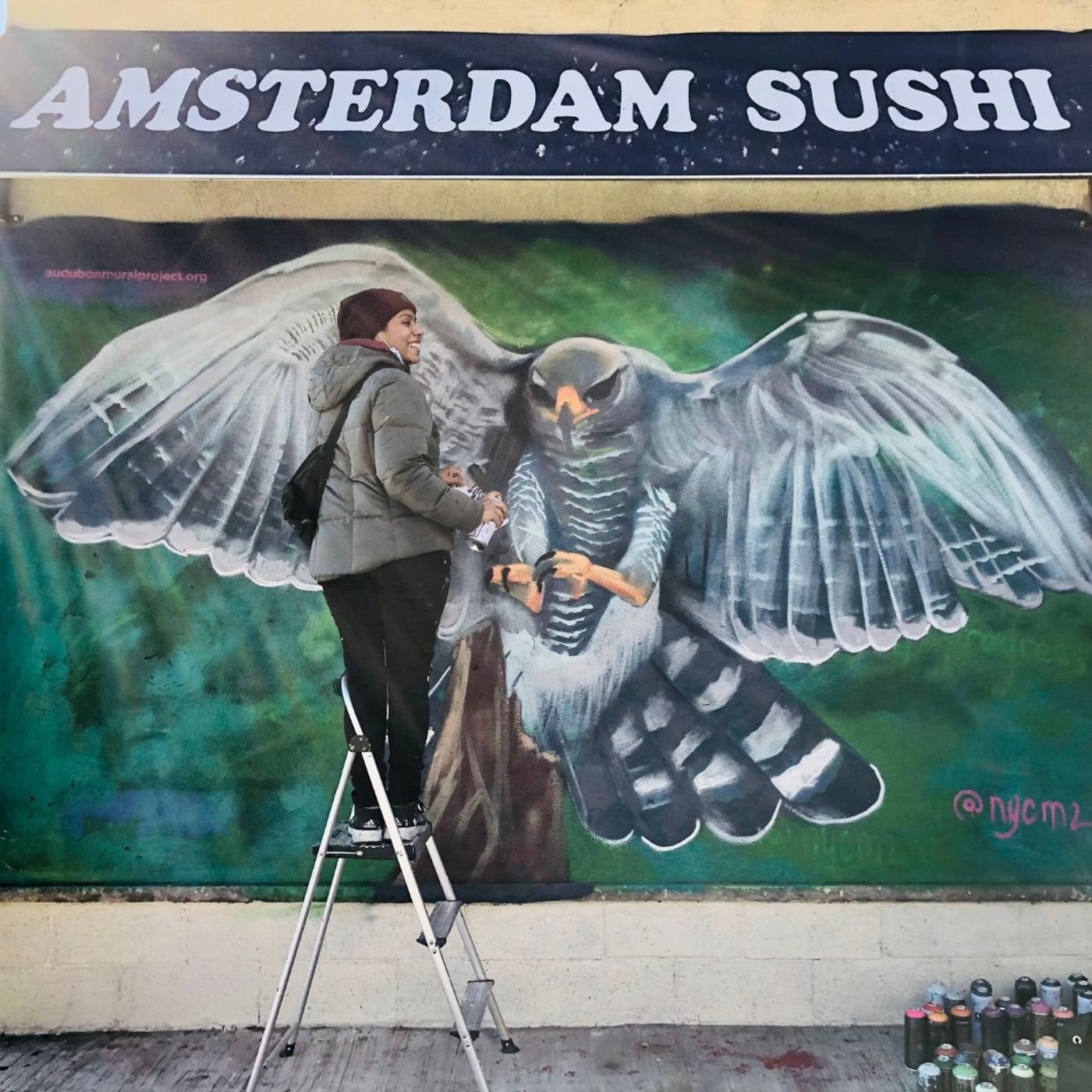 Emily Raboteau and Harlem's Gray Hawk Mural