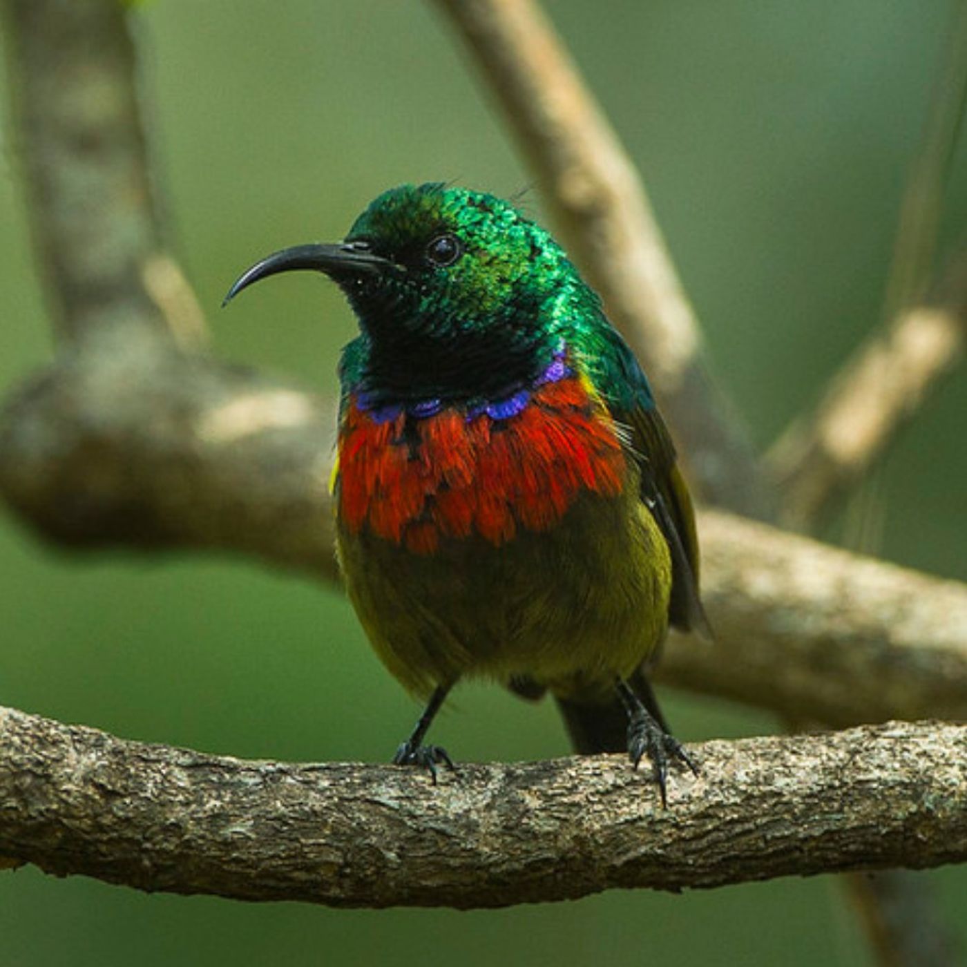 A Song That Has Survived for Thousands of Years