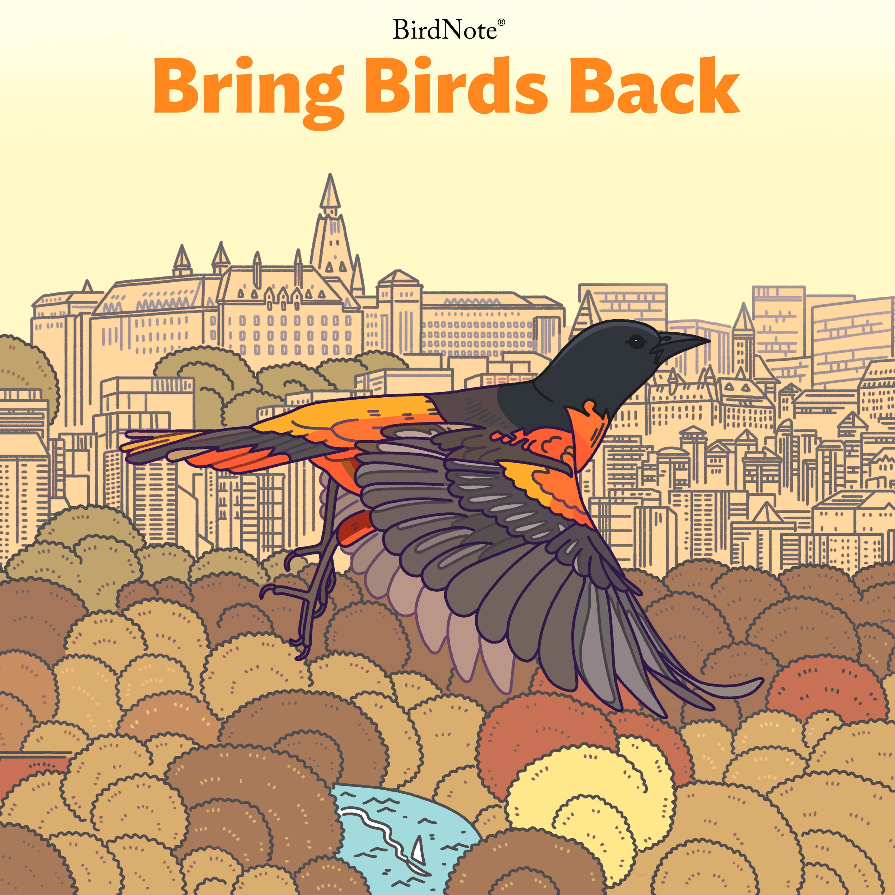 Bring Birds Back
