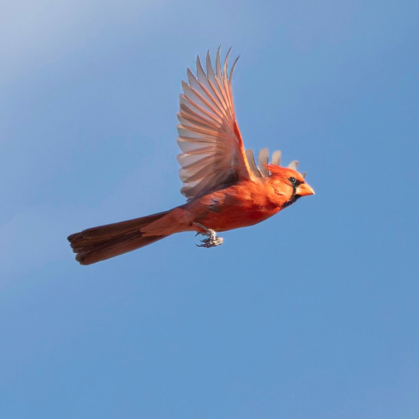 Art and Environmental Activism