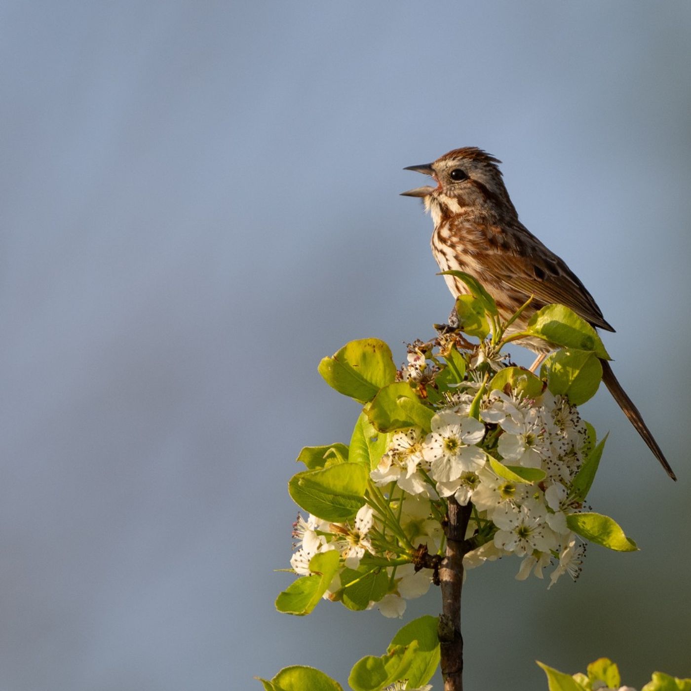 Little Things Add Up