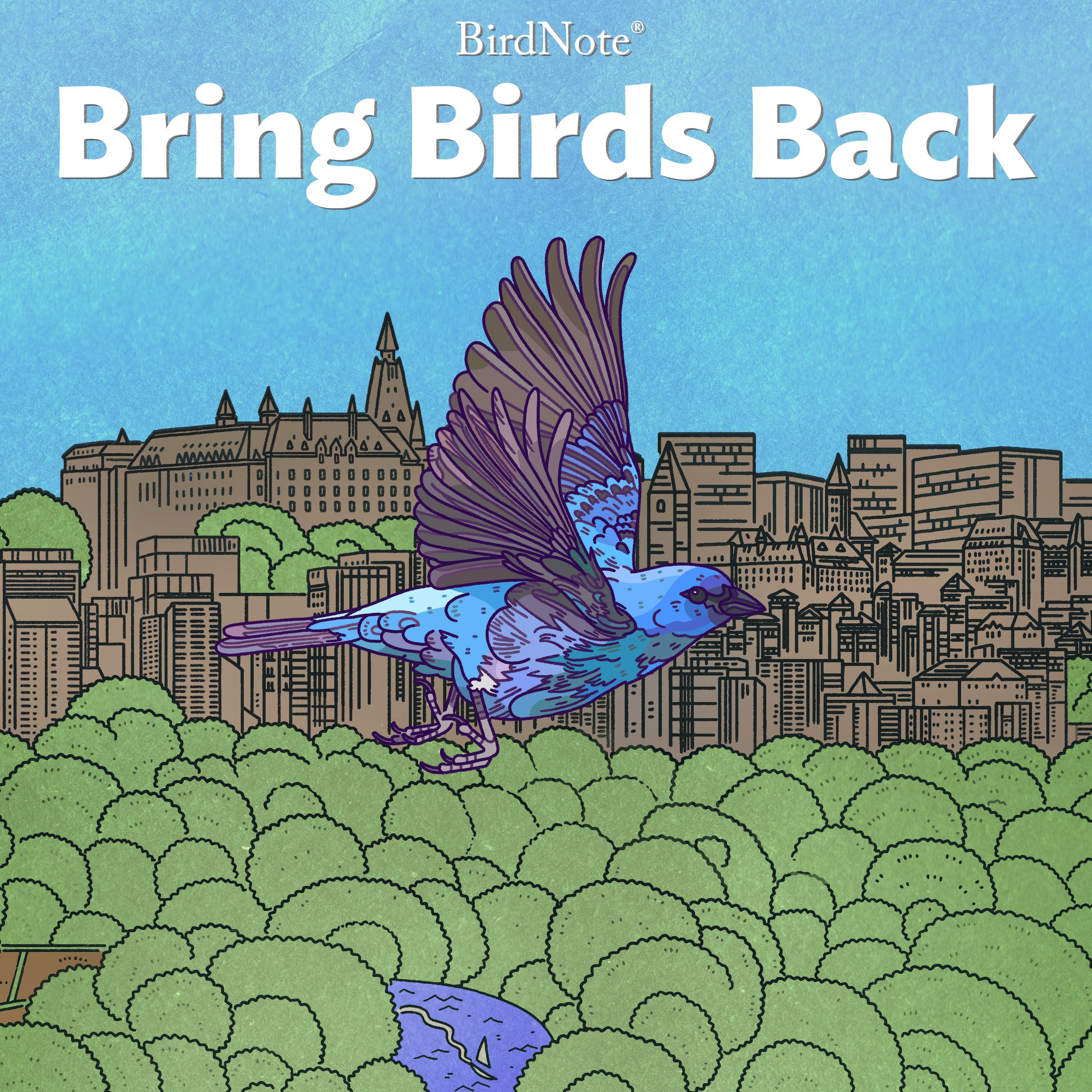 Season 9 of Bring Birds Back is Coming!