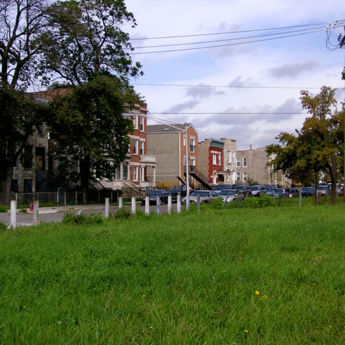 Lilli Holden on the Ecology of Vacant Lots