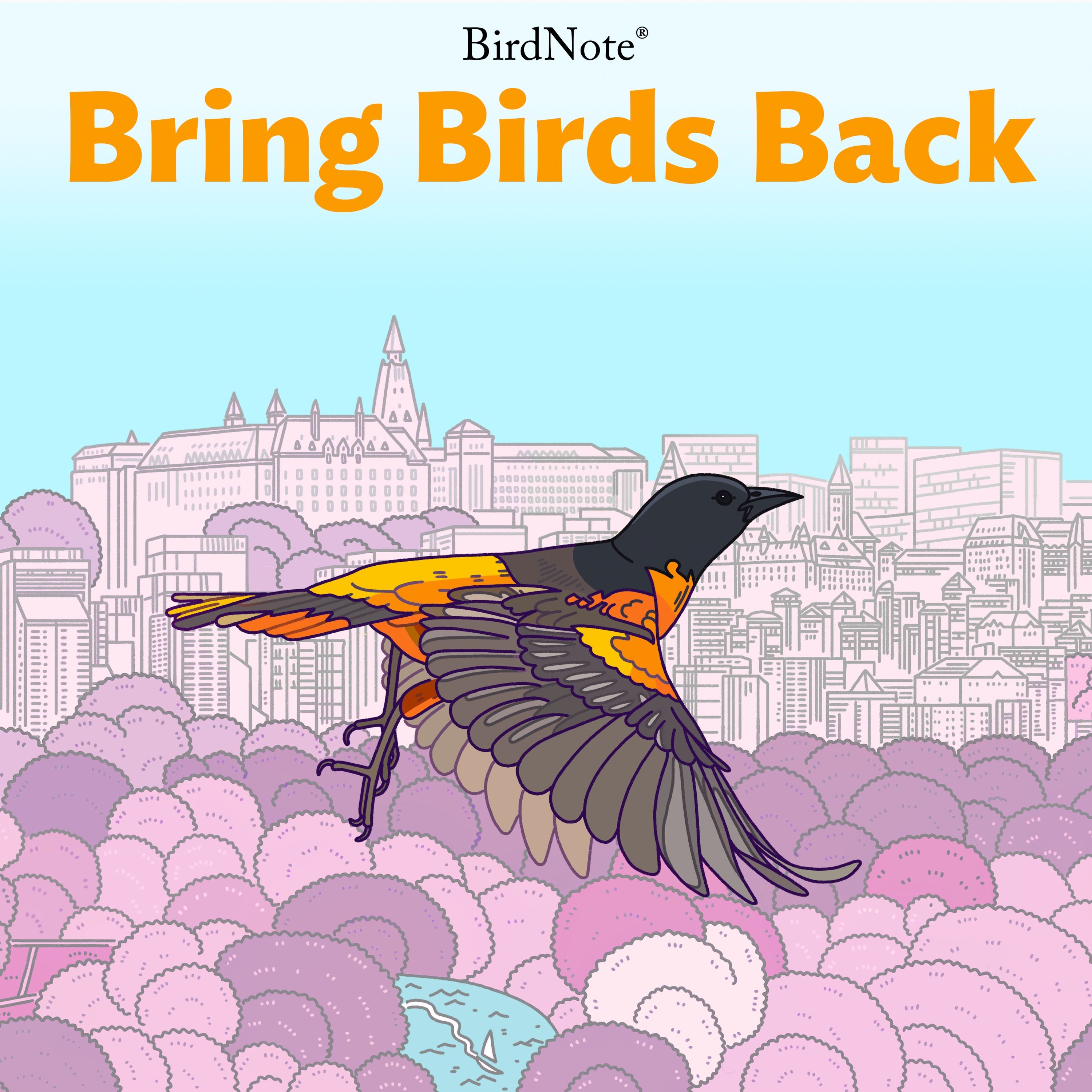 Bring Birds Back Artwork
