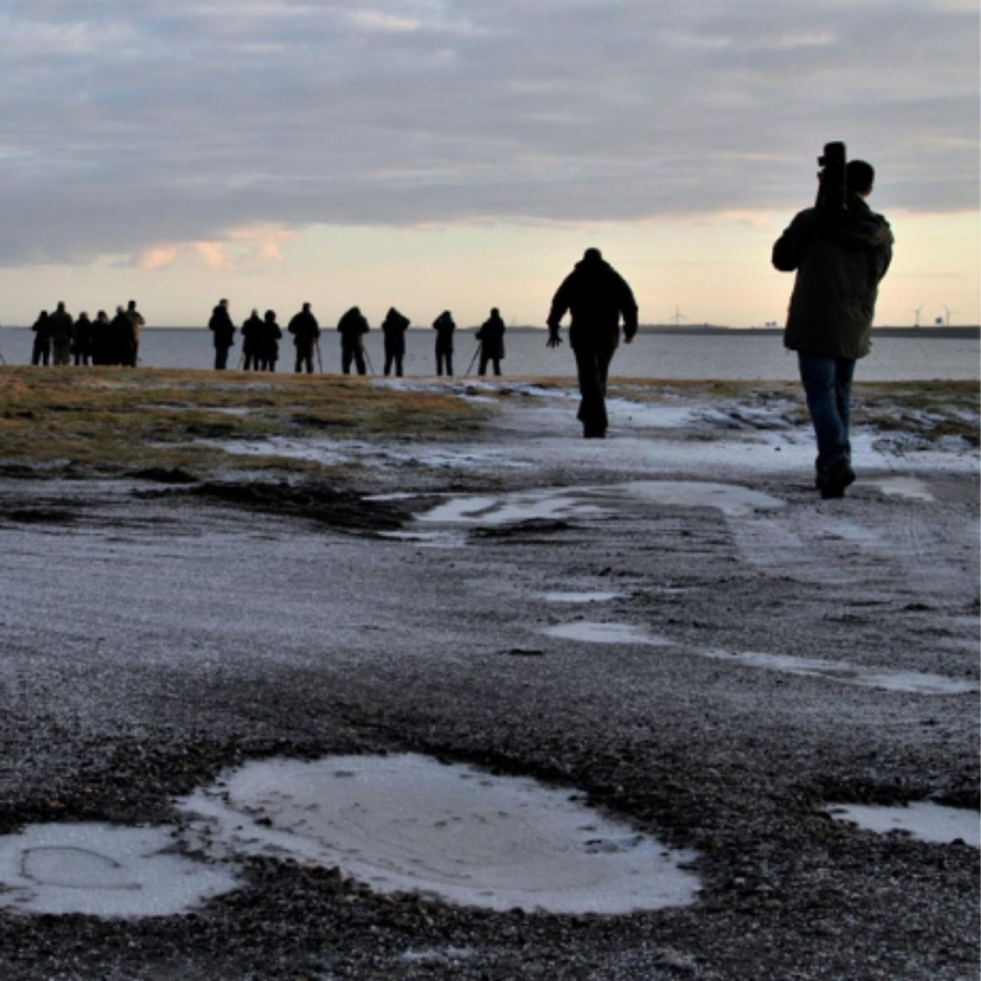 Birding 101: Learning How to Strike Out