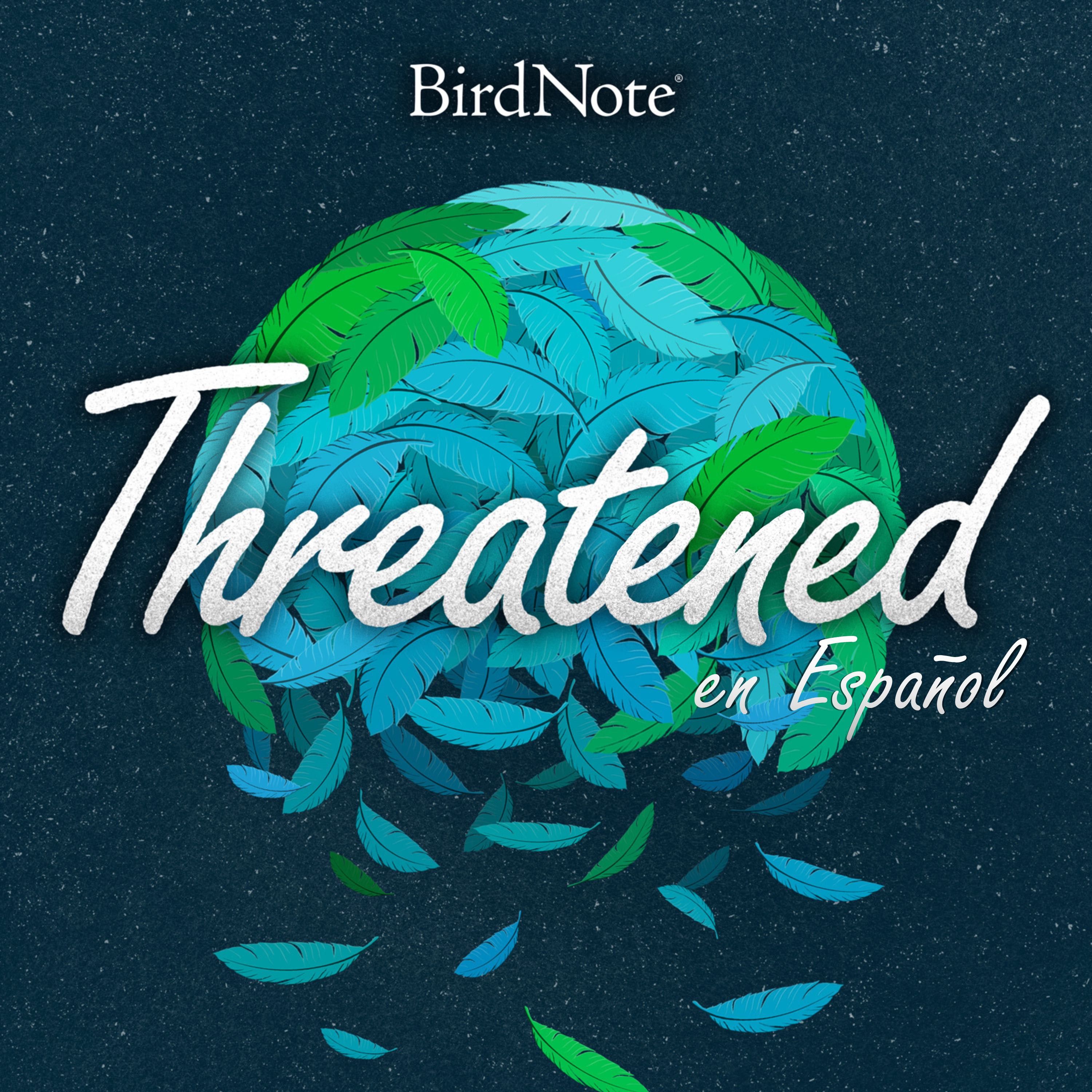 Threatened: Protegiendo a un ave y a nosotros mismos
