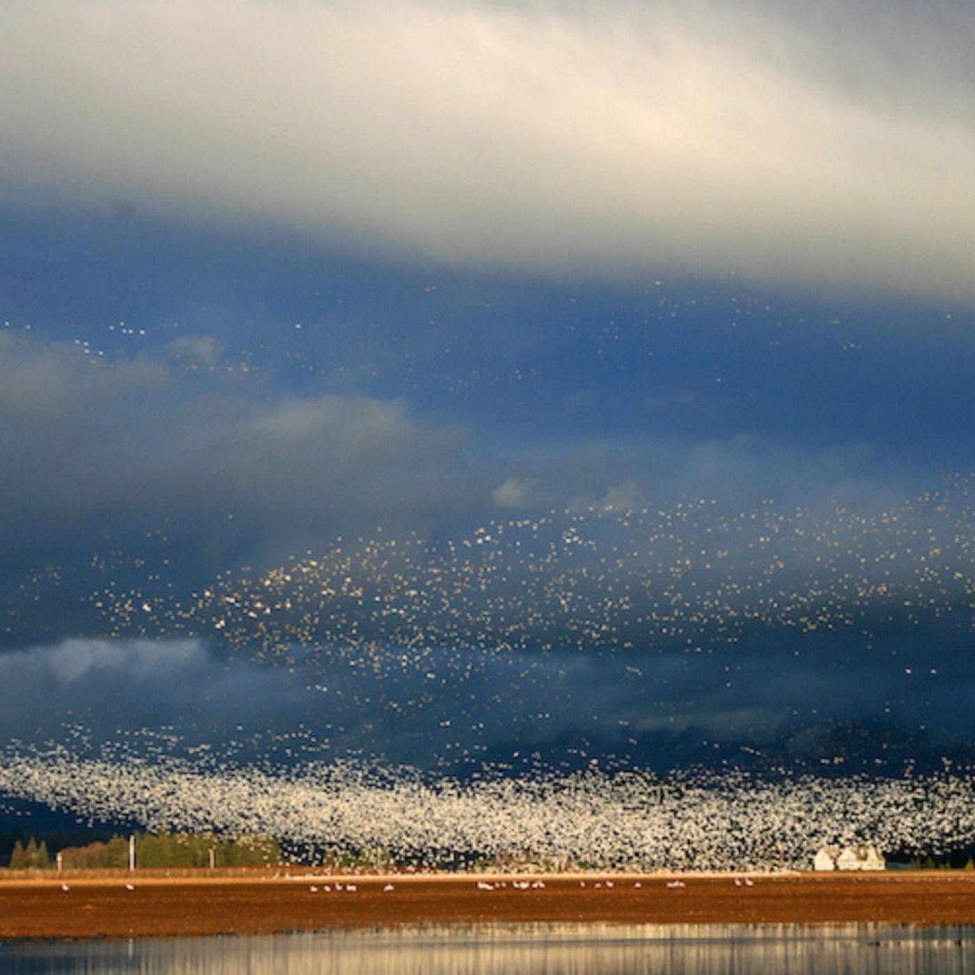 Make Your Cloud-watching More Like Bird-watching