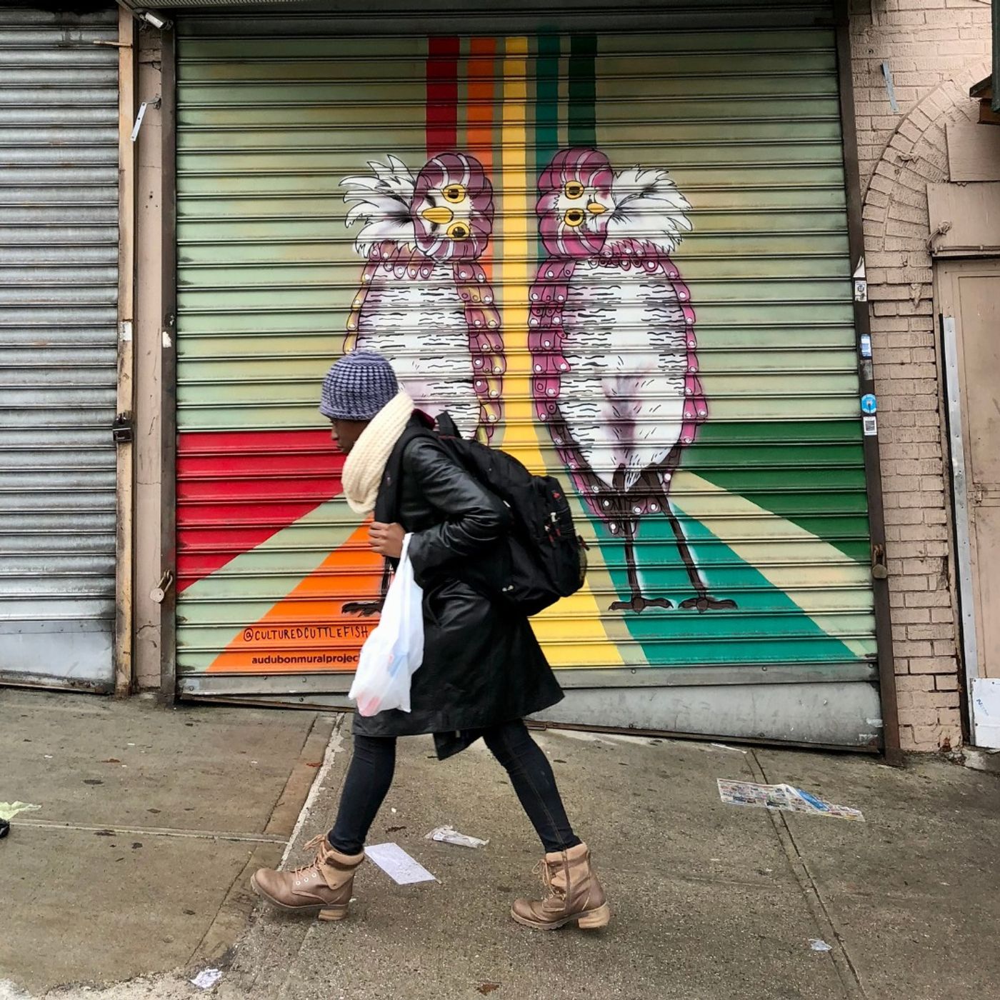 Emily Raboteau on New York City's Bird Murals