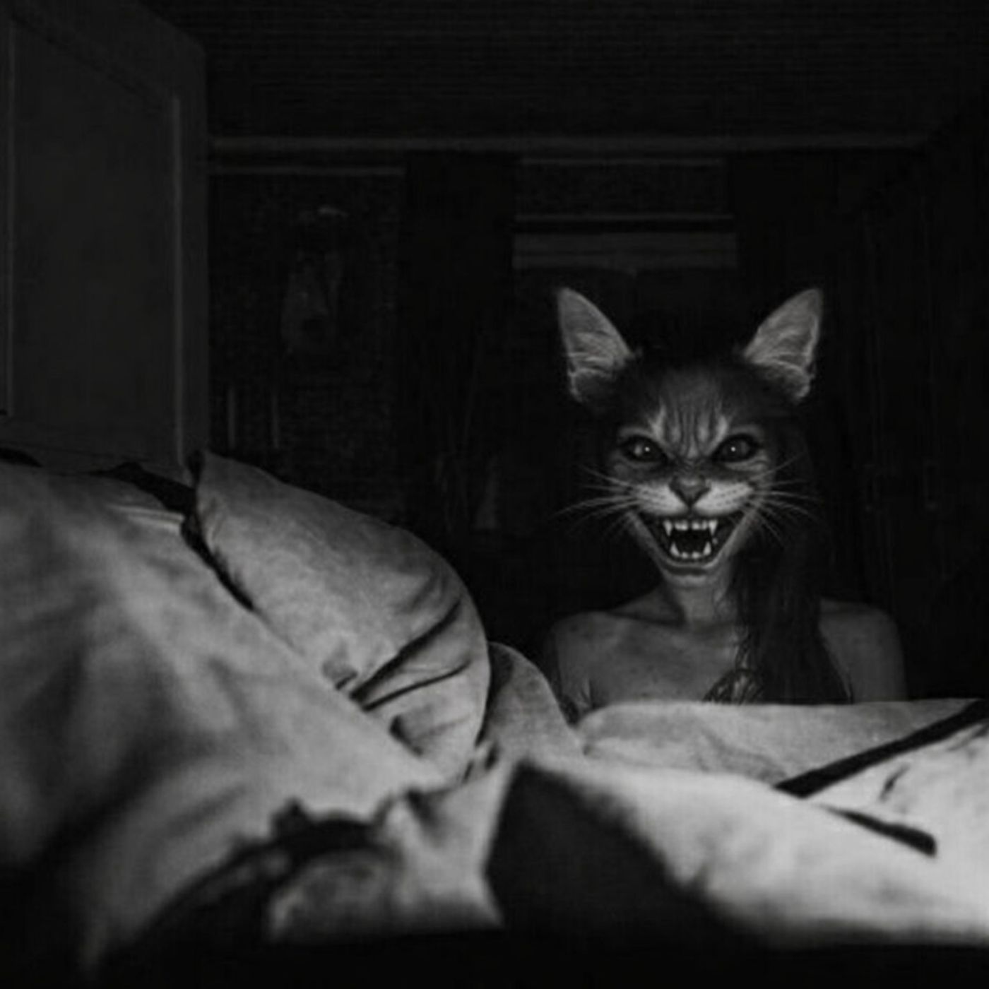 Gato Macabro