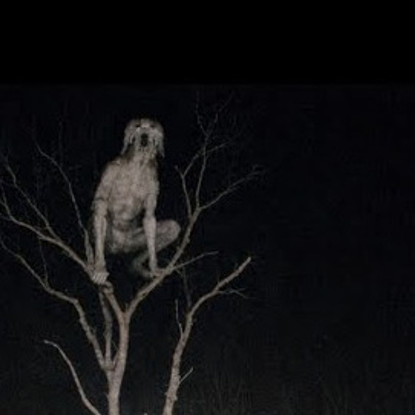 Animales Actuando Como Humanos | Relatos Reales de Terror Enviados por Suscriptores | Gato Macabro