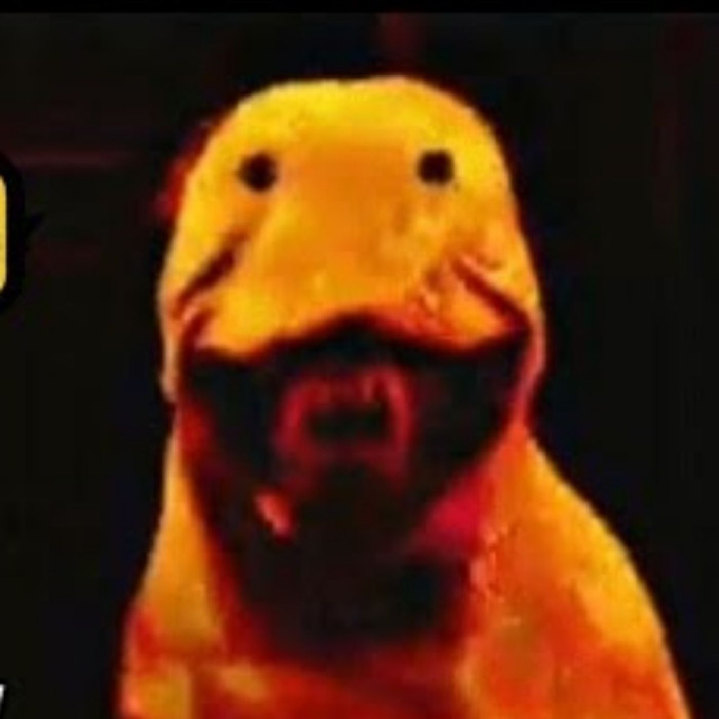Animales que se comportan como humanos | Historias REALES que no podrás olvidar