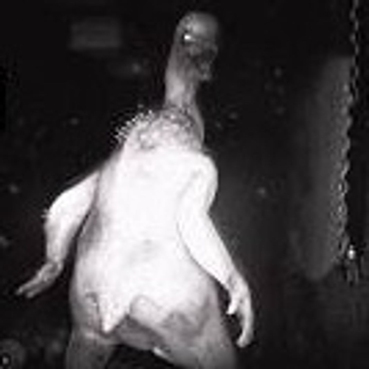 7 Historias REALES de SKINWALKERS, NAHUALES y BRUJAS que te dejarán FRÍO | Gato Macabro