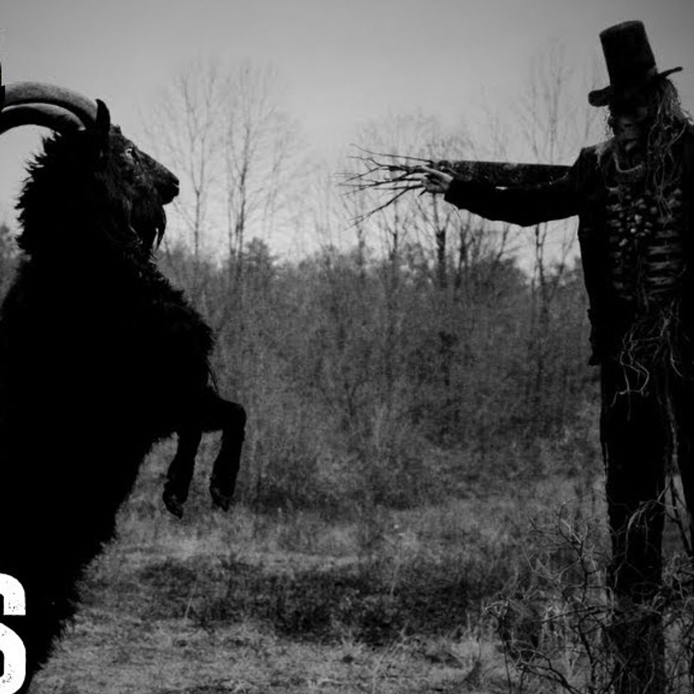 7 Nuevas Historias de Animales Actuando como Humanos: Terror Paranormal | Gato Macabro