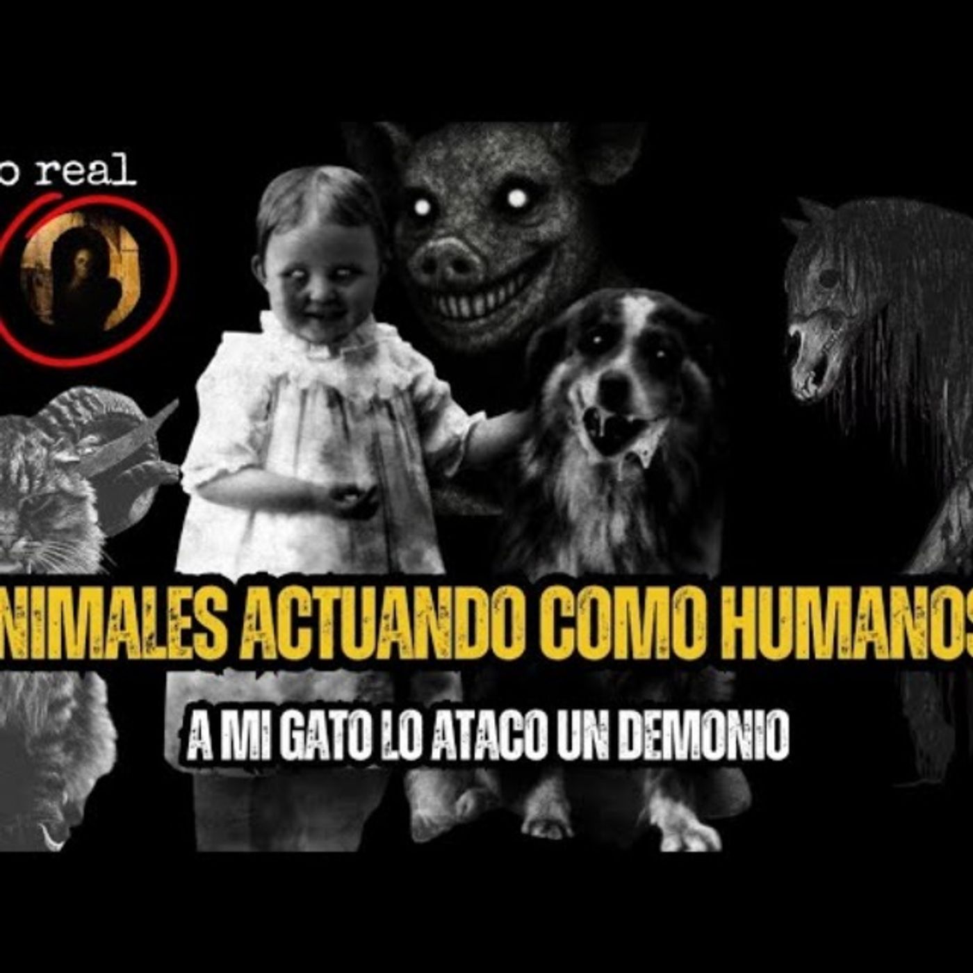 7 NUEVAS HISTORIAS DE ANIMALES ACTUANDO COMO HUMANOS | TERROR | GATO MACABRO episode artwork
