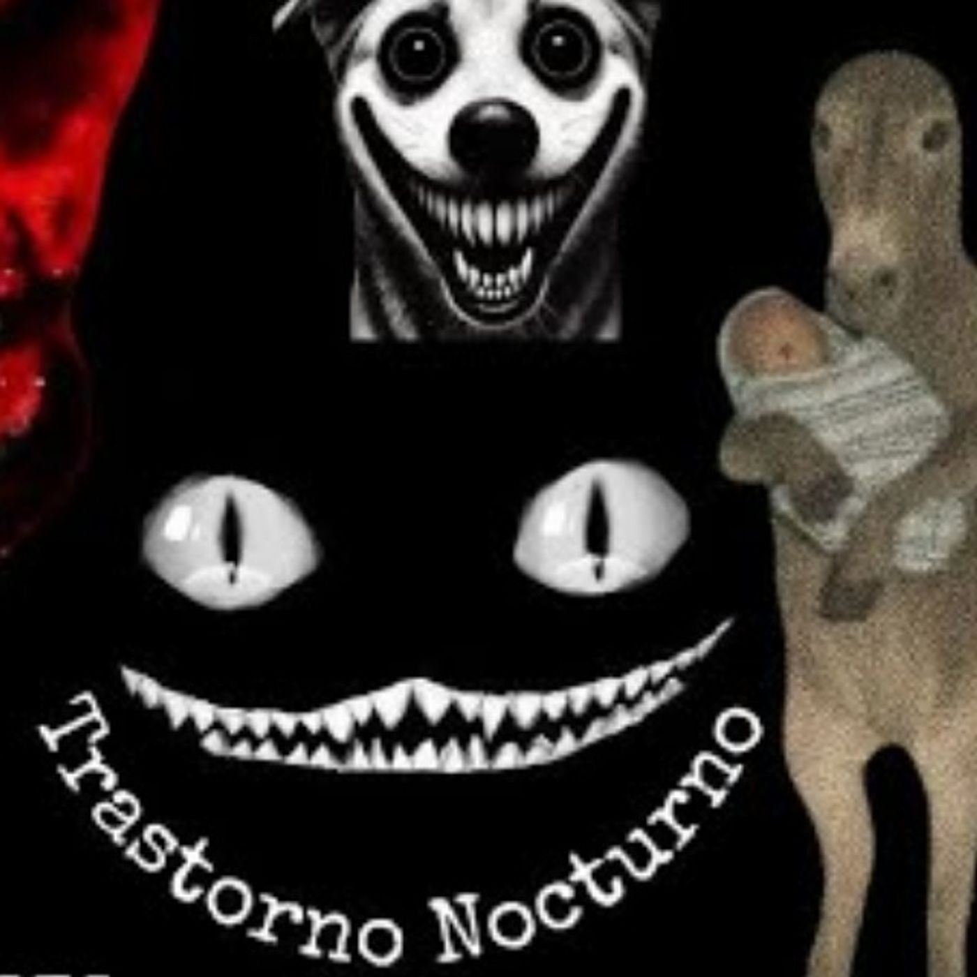 7 Historias Animales Actuando Como Humanos | Terror Real con TrastornoNocturno y Gato Macabro
