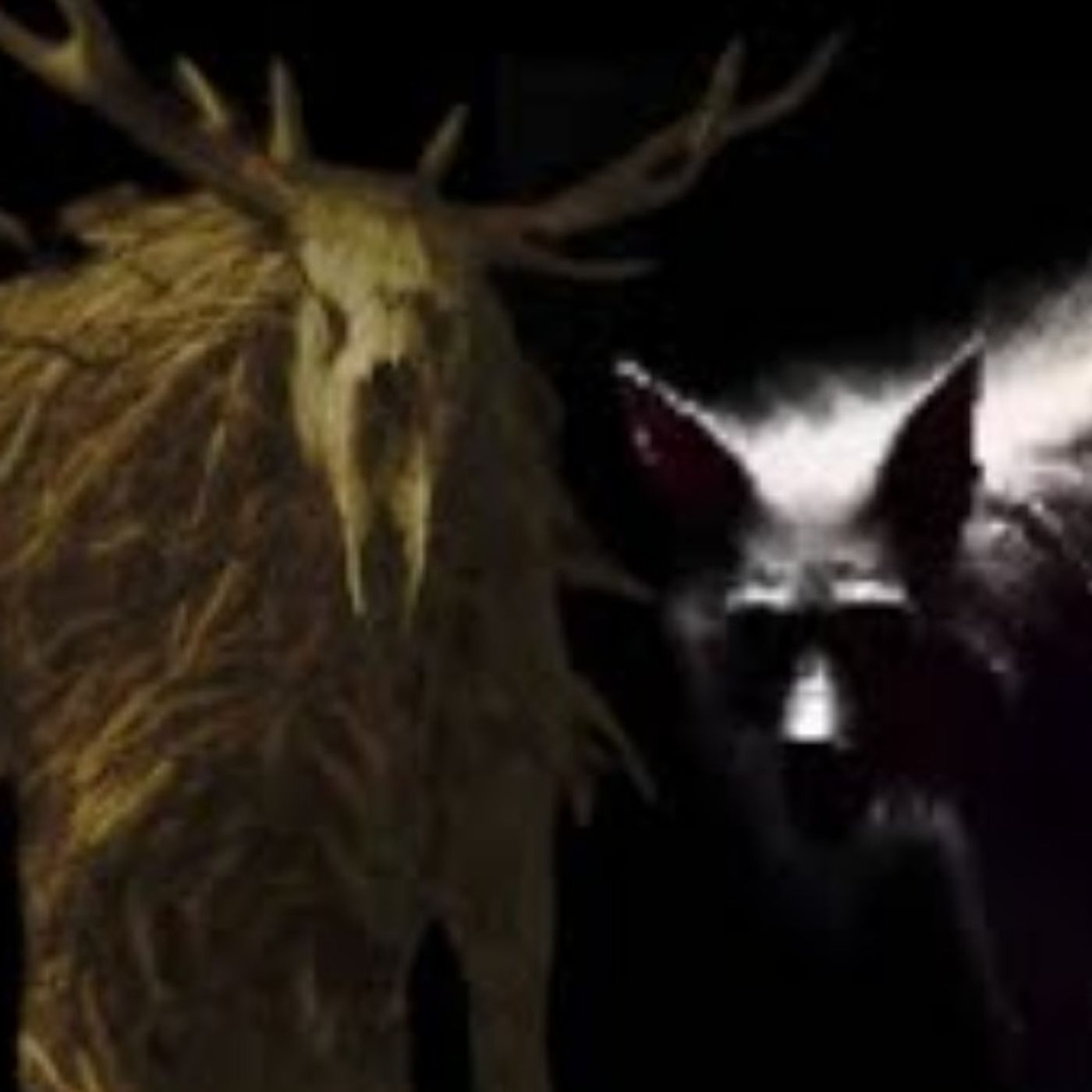 7 nuevas historias de Skinwalkers, Nahuales y Brujas | Historias de terror Reales