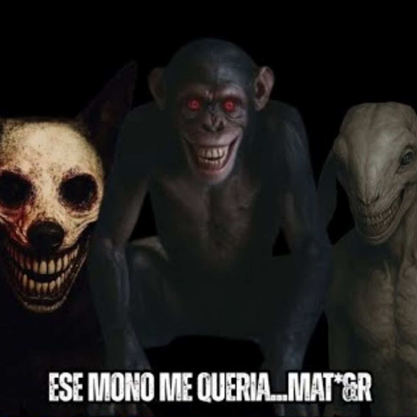 7 NUEVAS HISTORAS DE Animales ACTUANDO COMO Humanos | Relatos Reales DE TERROR episode artwork