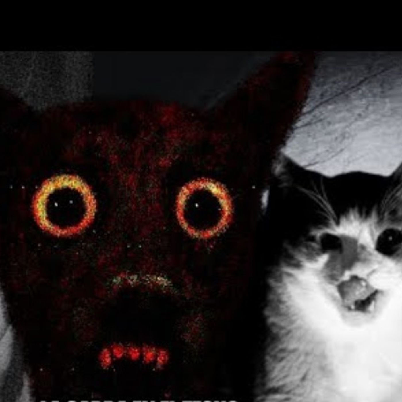 6 Historias de Terror con Animales actuando como humanos ENDIABLADOS | Gato Macabro
