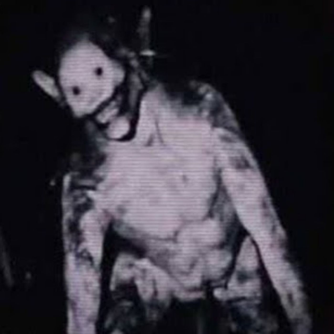 7 NUEVAS HISTORIAS DE SKINWALKERS, NAHUALES Y BRUJAS | GATO MACABRO