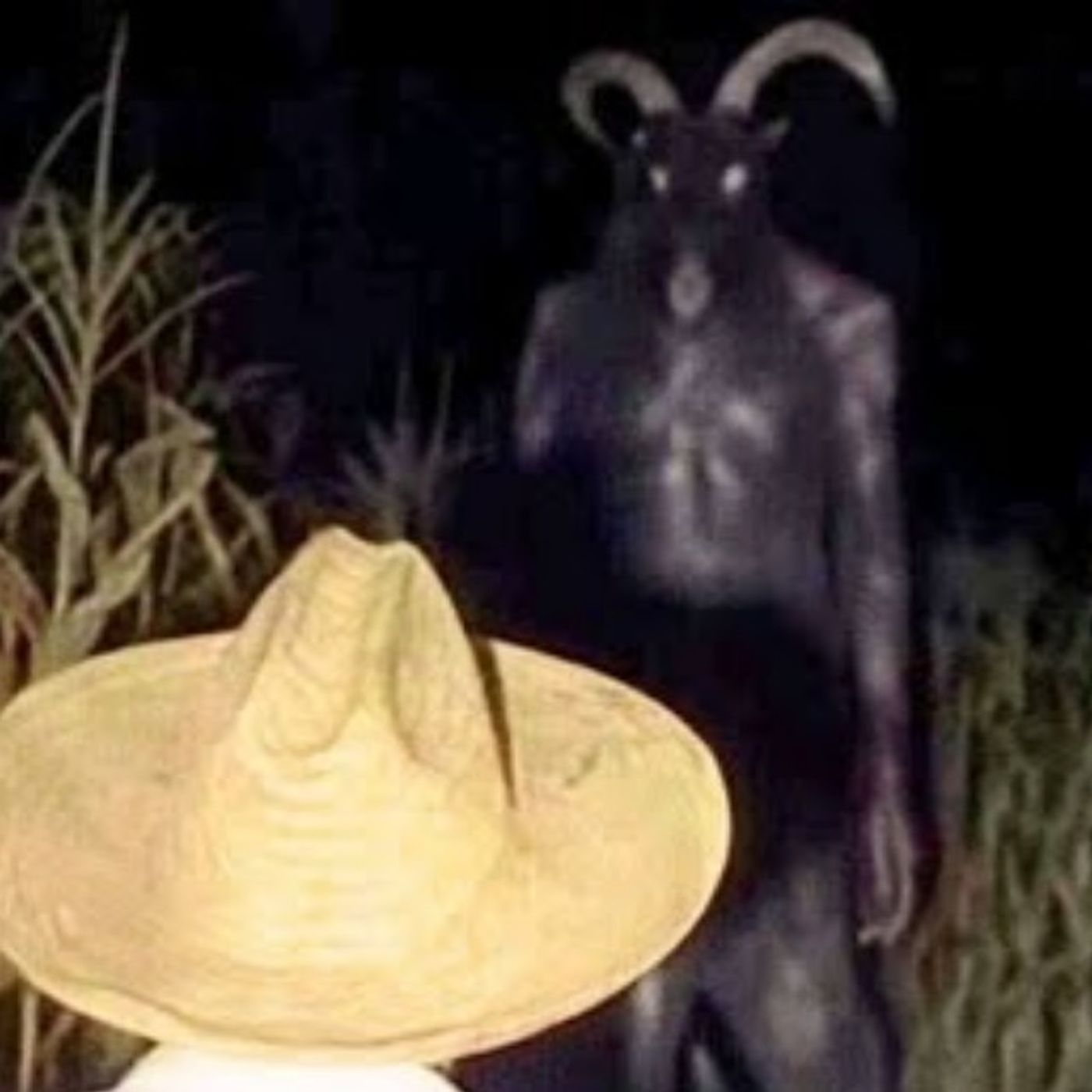 Nahuales, Brujas y Criaturas del Monte | Relatos Enviados por Suscriptores | FOTO REAL