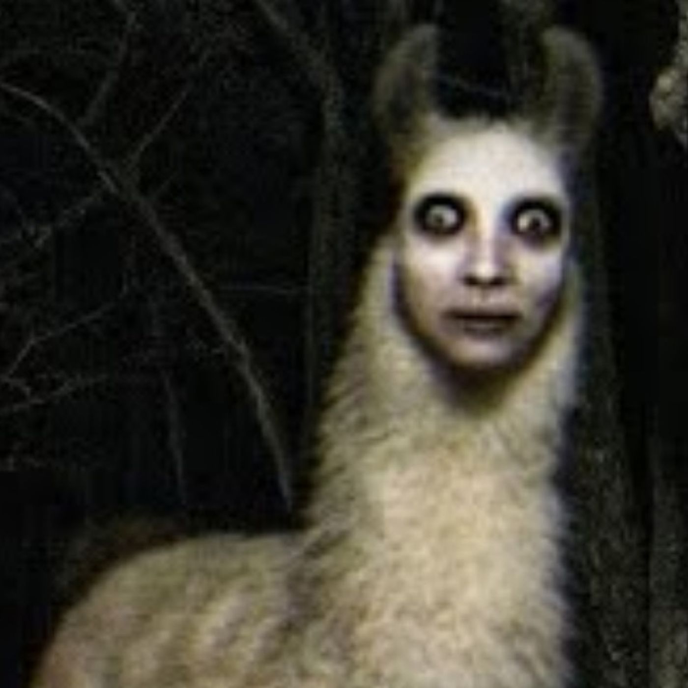 7 Historias de Animales Actuando Como Humanos | Relatos Reales de Terror | Gato Macabro