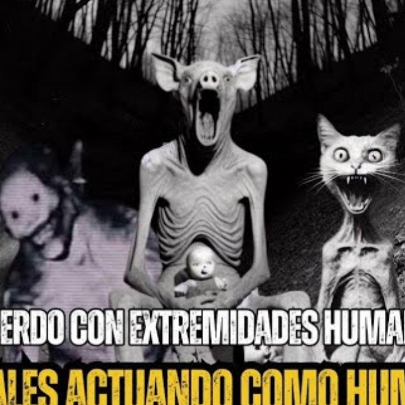 6 NUEVAS HISTORIAS de ANIMALES ACTUANDO COMO HUMANOS | Relatos Reales de Terror | Gato Macabro
