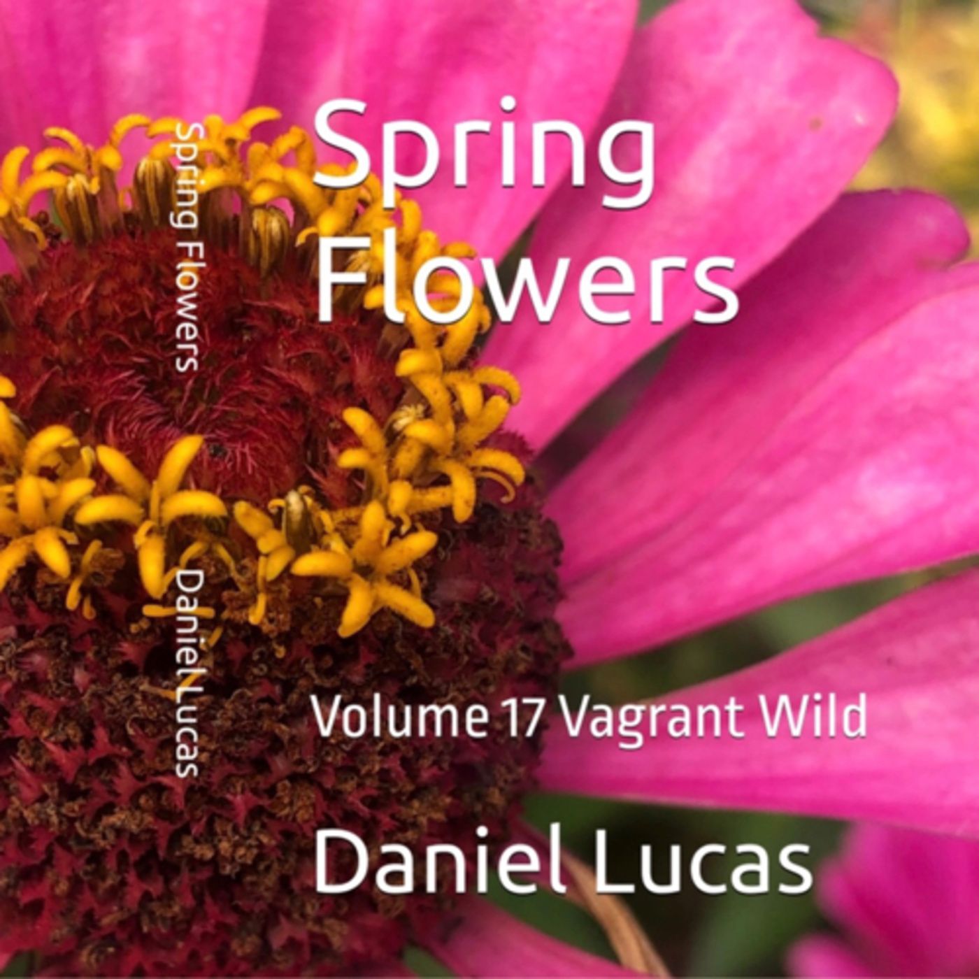 Spring Flowers Volume 17 Vagrant Wild by Daniel Lucas