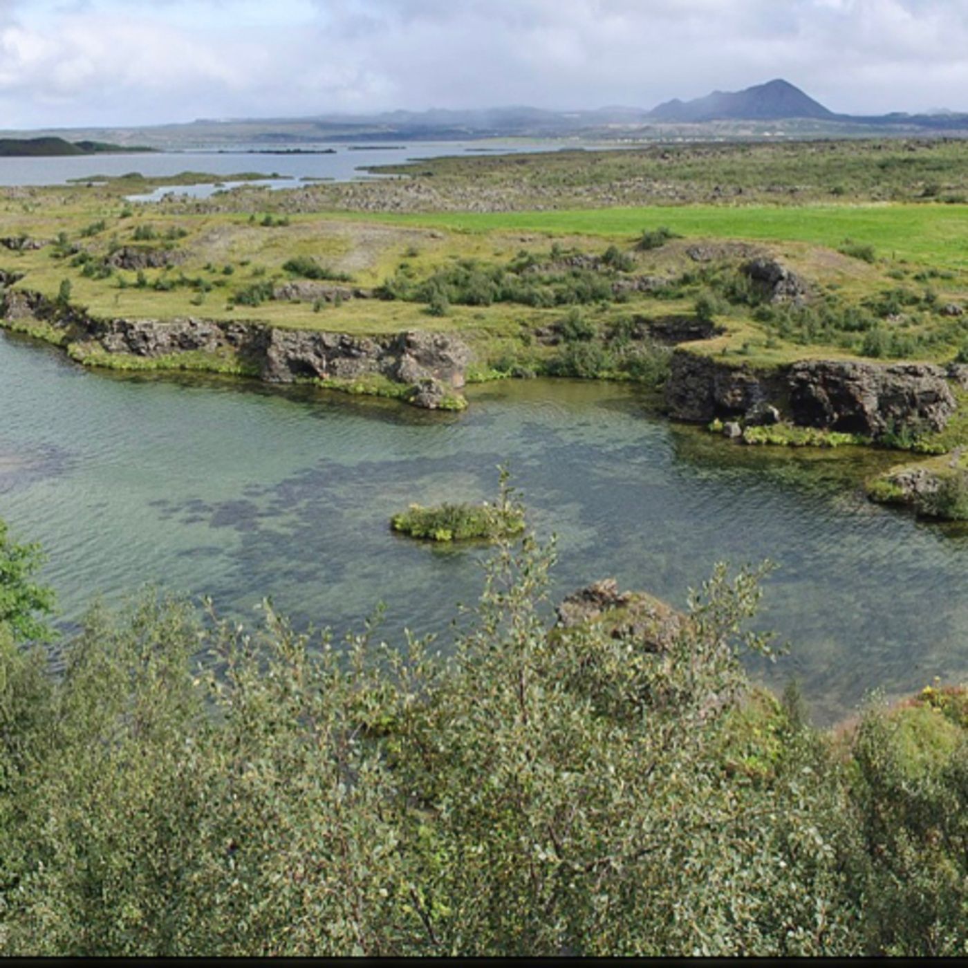 Myvath is a shallow lake situated in an area of active Volcanism in the north of Iceland