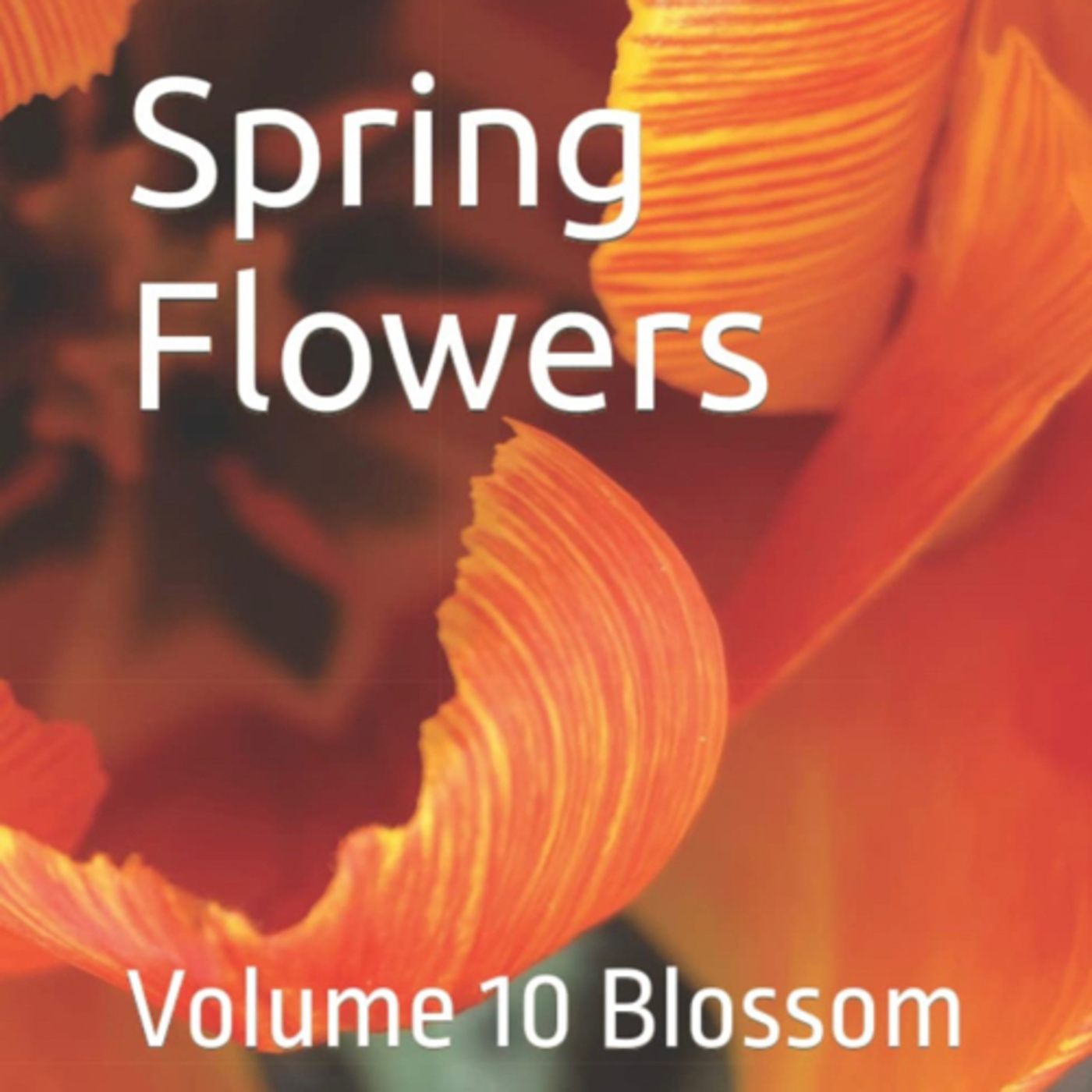 Spring Flowers Volume 10 Blossom by Daniel Lucas