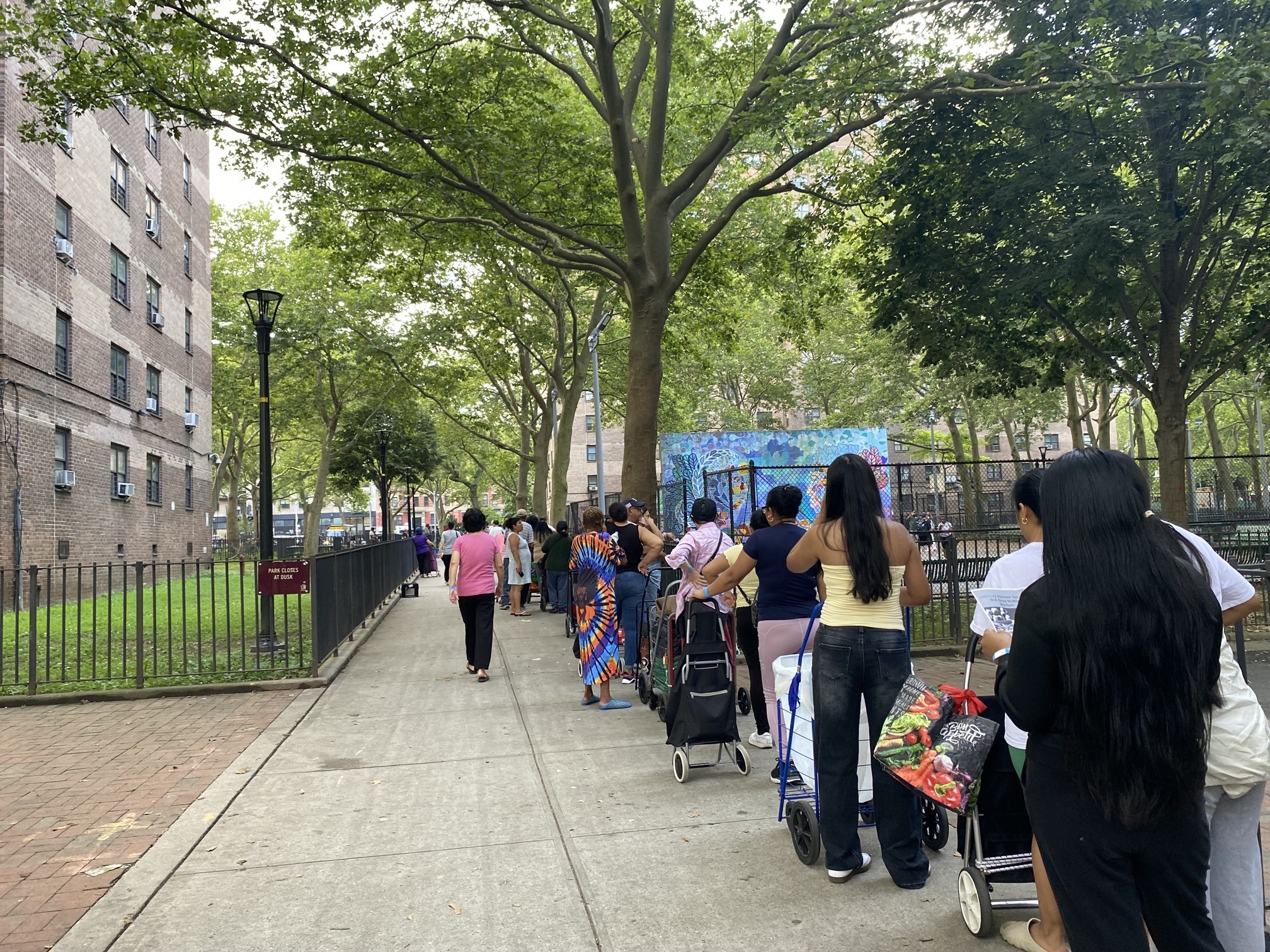 Some New Yorkers Could Lose SNAP Benefits Next Week. Nearly Half Are Young People.