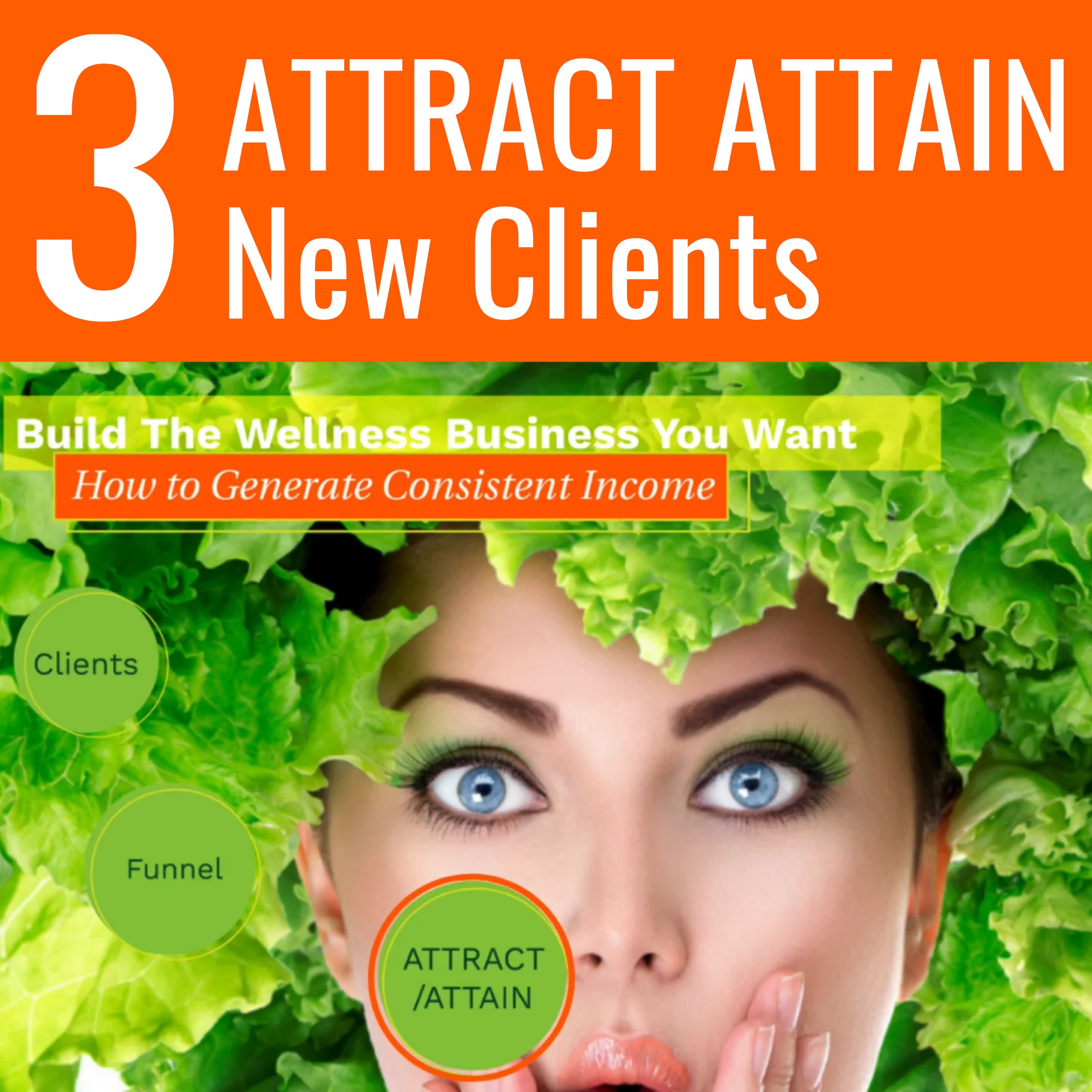 IWPP G 103 How to Generate Consistent Income Series  ATTRACT & ATTAIN New Clients With your Funnel that Works!