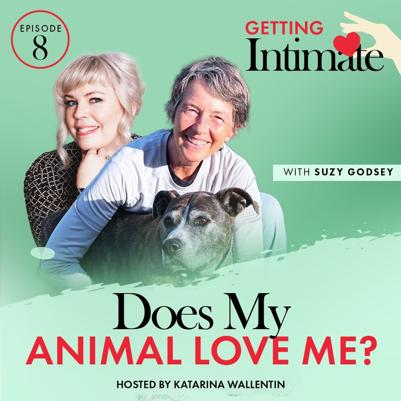 Does My Animal Love Me?