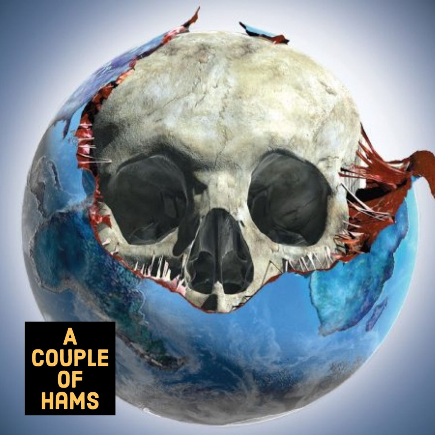 A Couple of Hams