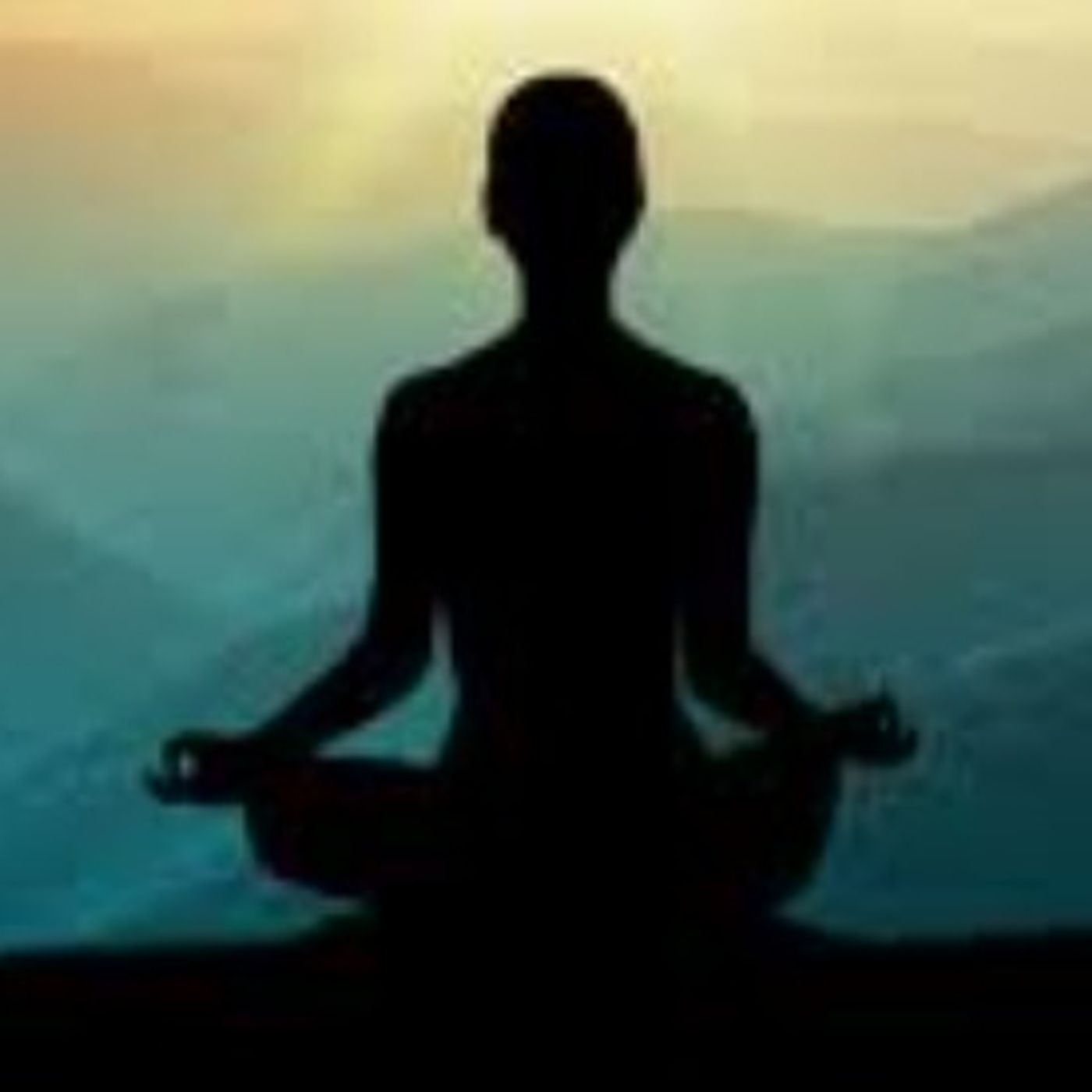 Vipassana meditation with Anu Charbe