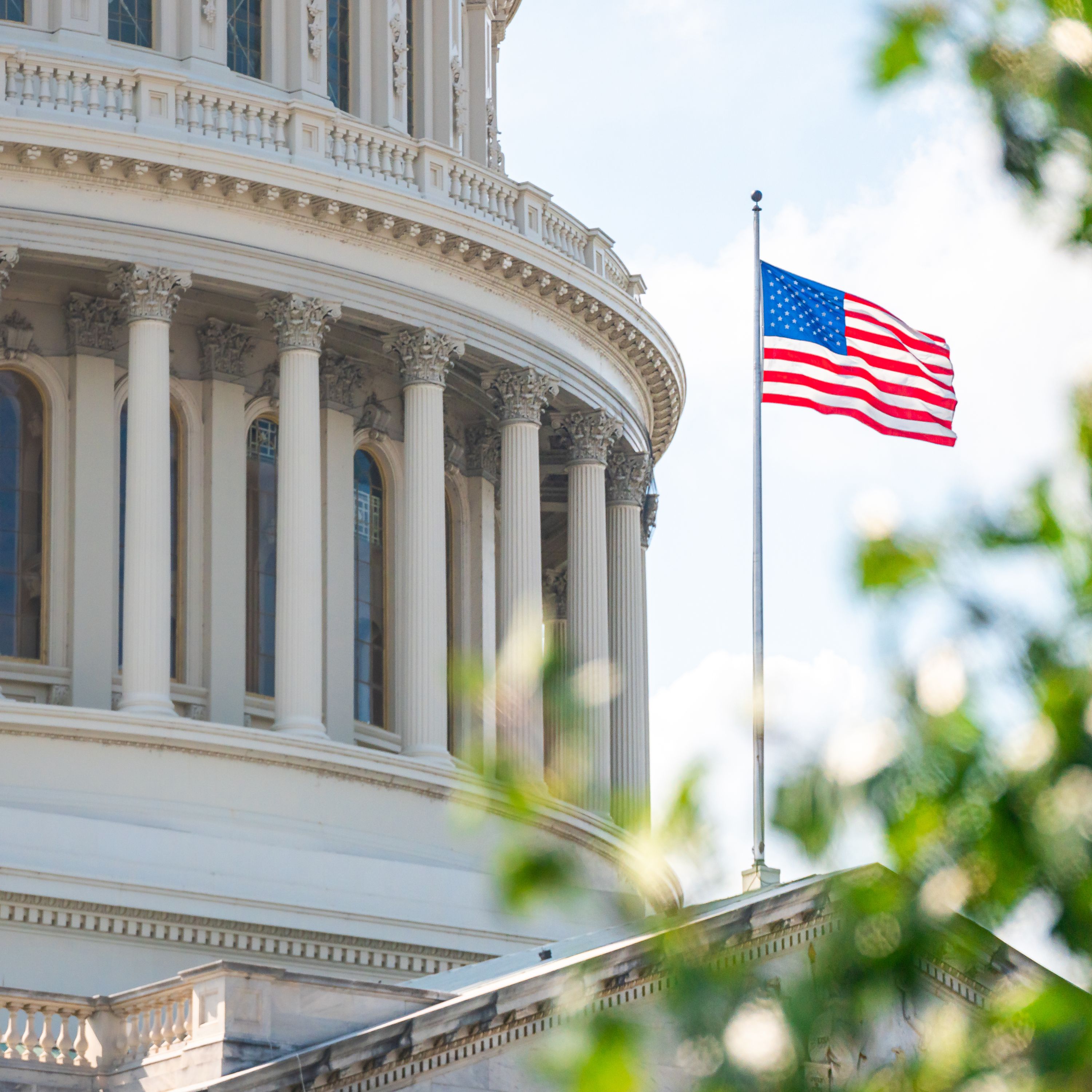 Which Way Will the Senate Go in November?