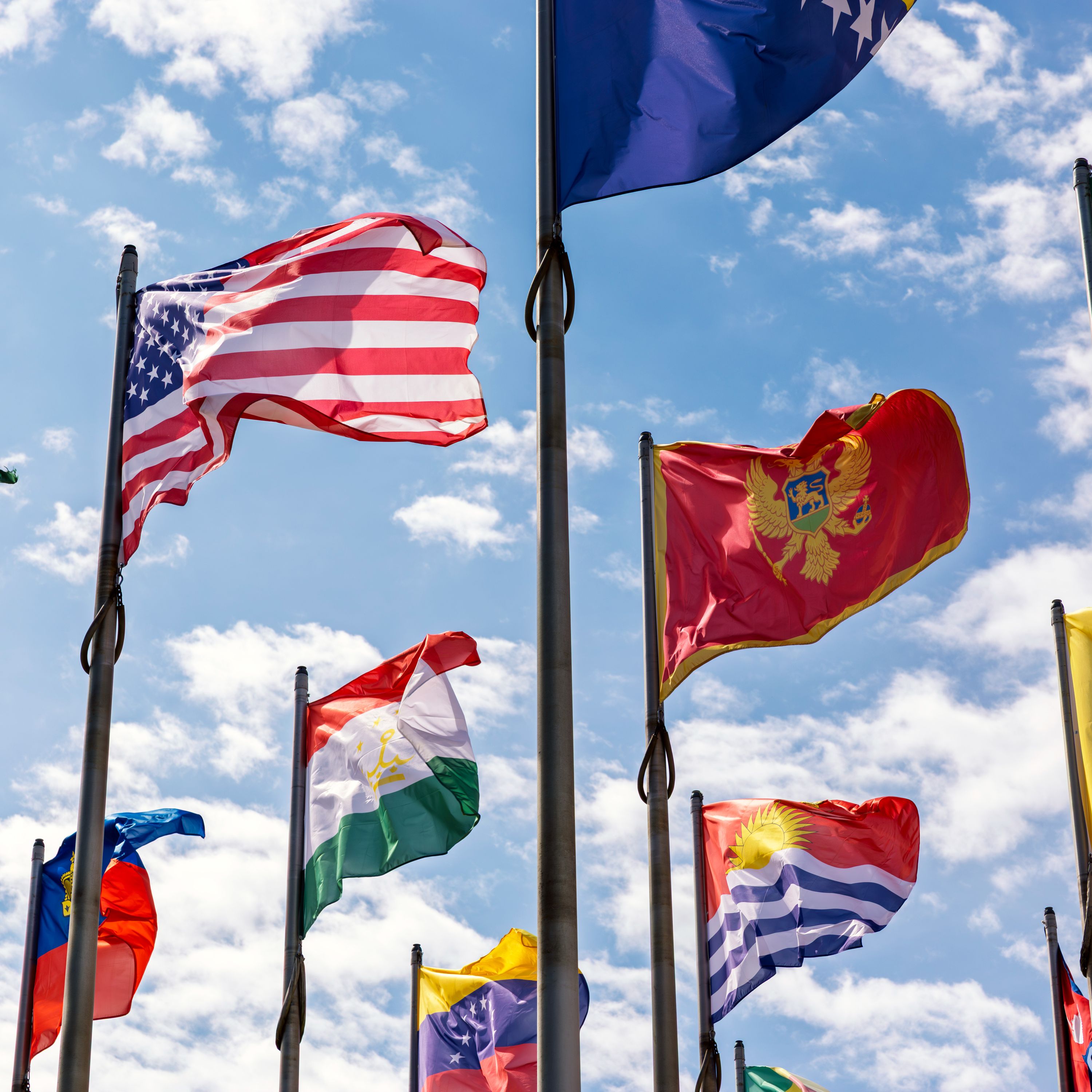 What Flag Are You Flying?